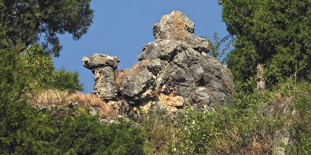 One Day Mussoorie Local Sightseeing Trip by Cab