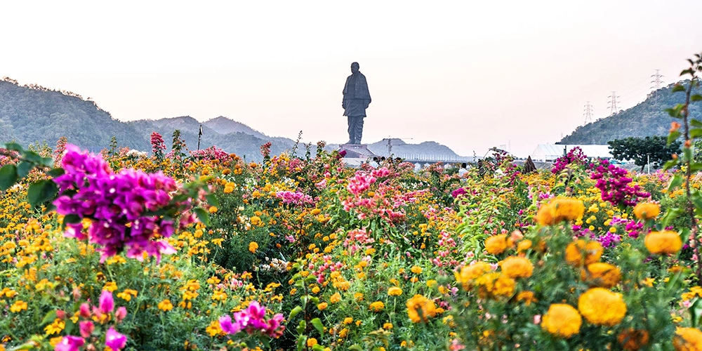 One Day Ahmedabad to Statue of Unity Tour by Cab with Cruise & Jungle Safari